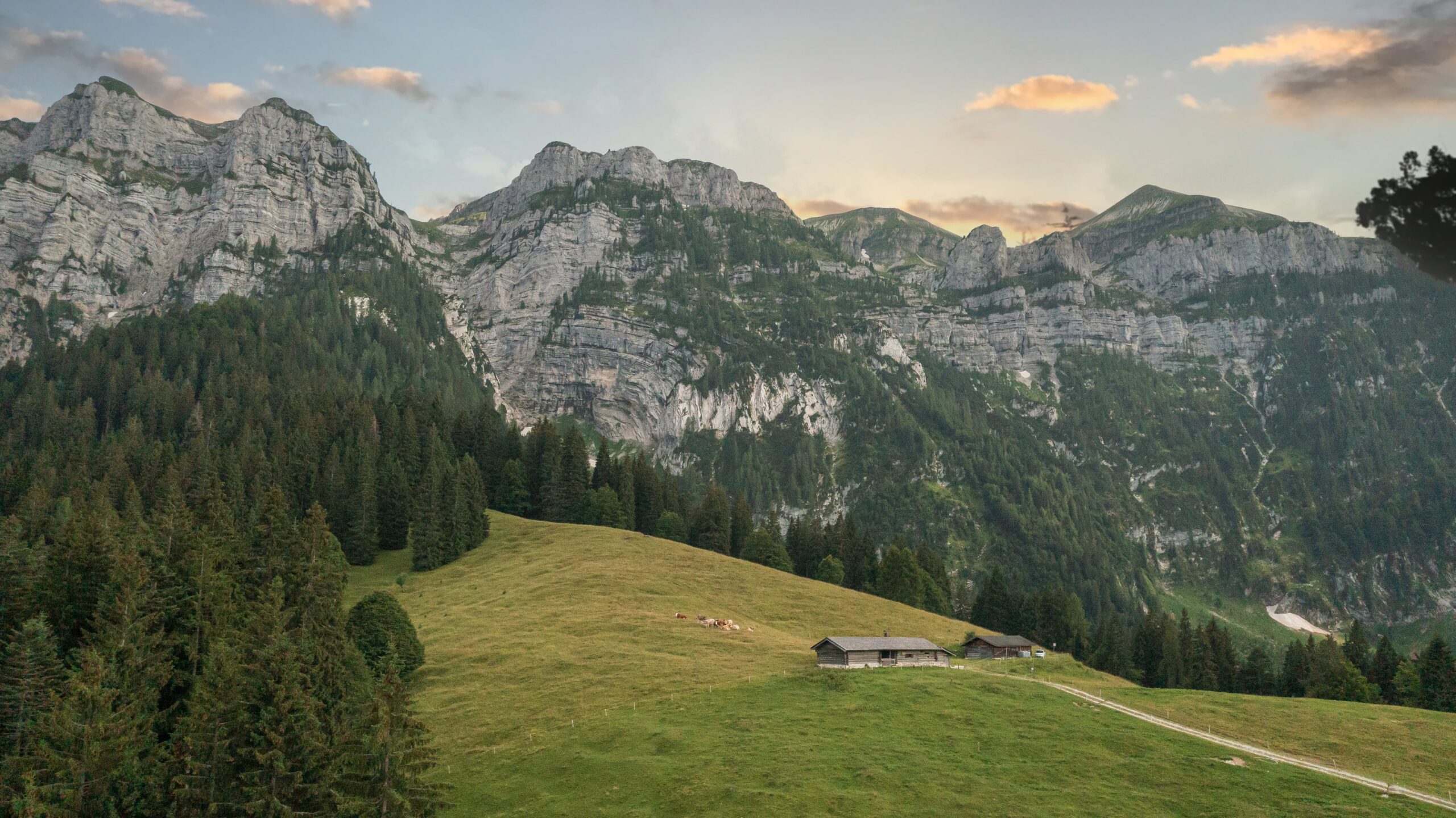 TREKKING DIFFICILI